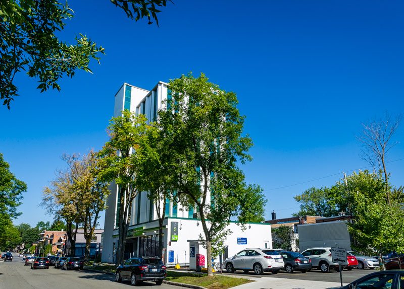 La tour du Centre d'affaires Laënnec, façade vitrée vert bouteille, vue de l'arrière entre les arbres